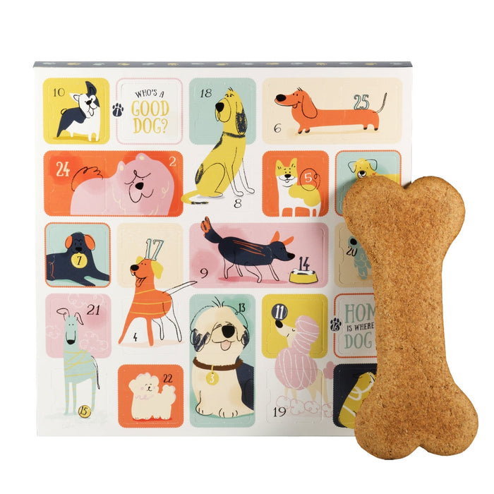 International Dog Day — Advent Calendar