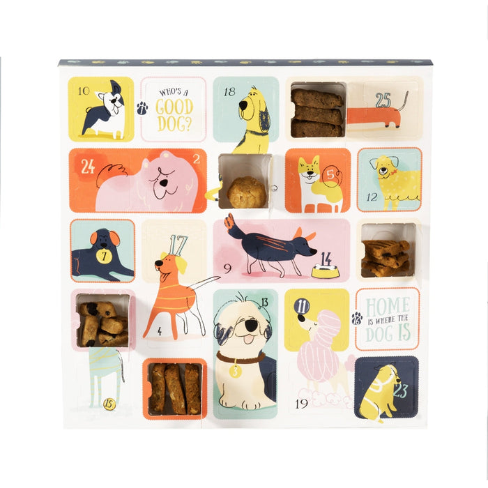 International Dog Day — Advent Calendar