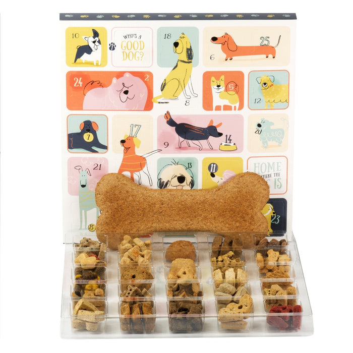 International Dog Day — Advent Calendar