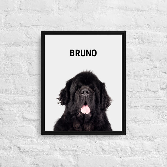 Personalized Newfoundland Framed Canvas Print
