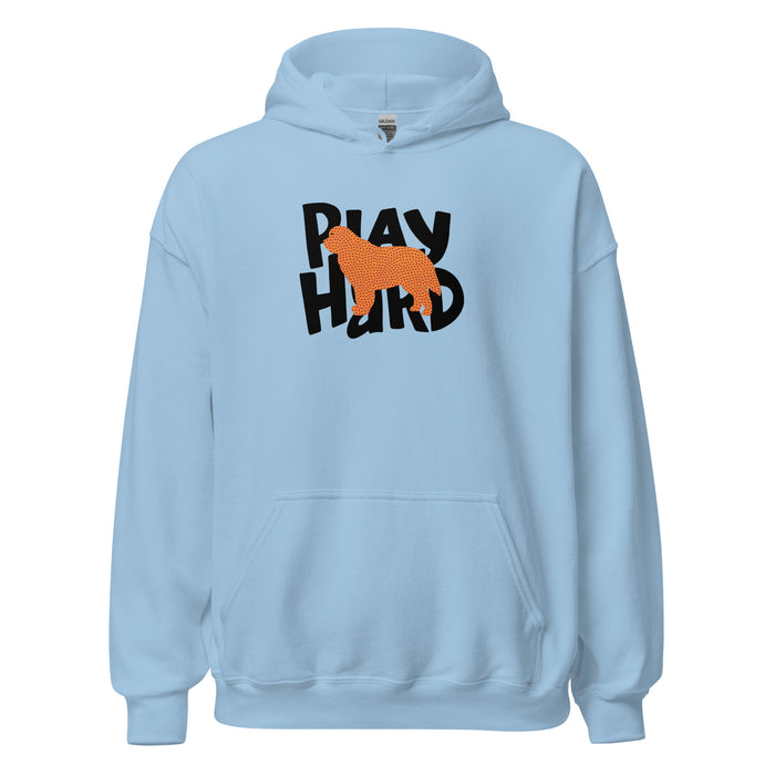 Play Hard Hoodie