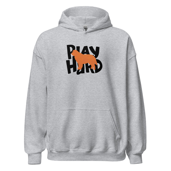 Play Hard Hoodie