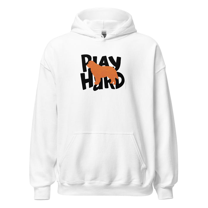 Play Hard Hoodie