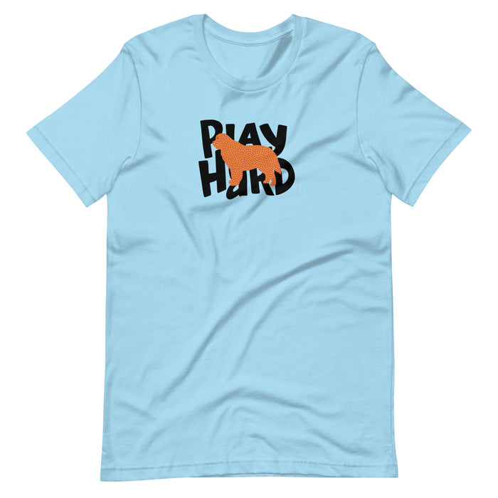 Play Hard Tee